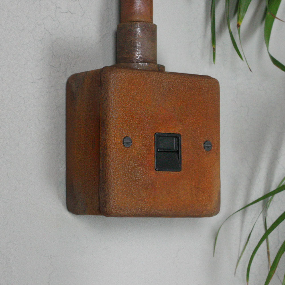 Rusted Primary Telephone Socket